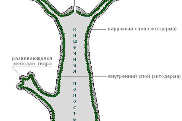 Вход на кракен зеркало