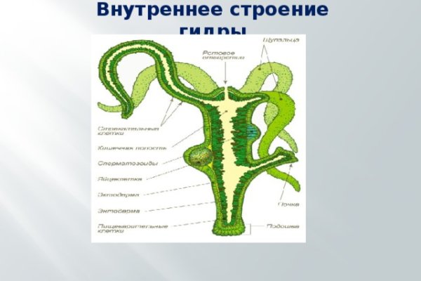 Вывести деньги с кракена