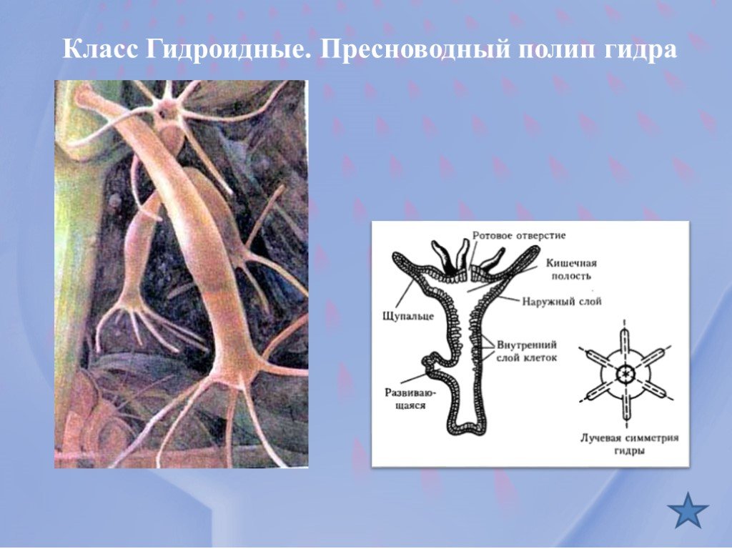 Кракен торговая kr2web in